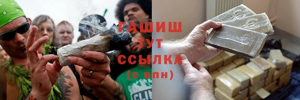 PSILOCYBIN Заводоуковск