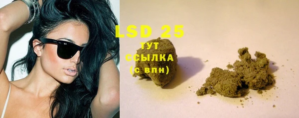 ГАЛЛЮЦИНОГЕННЫЕ ГРИБЫ Заволжск