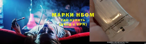 PSILOCYBIN Заводоуковск