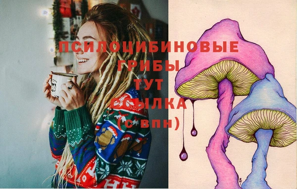 PSILOCYBIN Заводоуковск