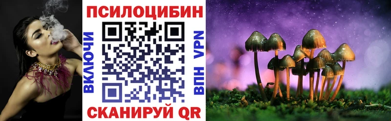 Псилоцибиновые грибы мицелий  Купить  Октябрьск 
